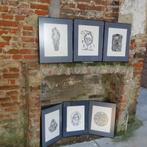 Rene Pauwels  set Etsen De Collectie 1977 Ex 19/32, Antiek en Kunst, Ophalen of Verzenden