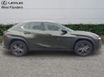 Lexus UX 250h Business Line+cam+gps+sens V+A, Autos, Lexus, 5 portes, Automatique, 184 ch, Vert