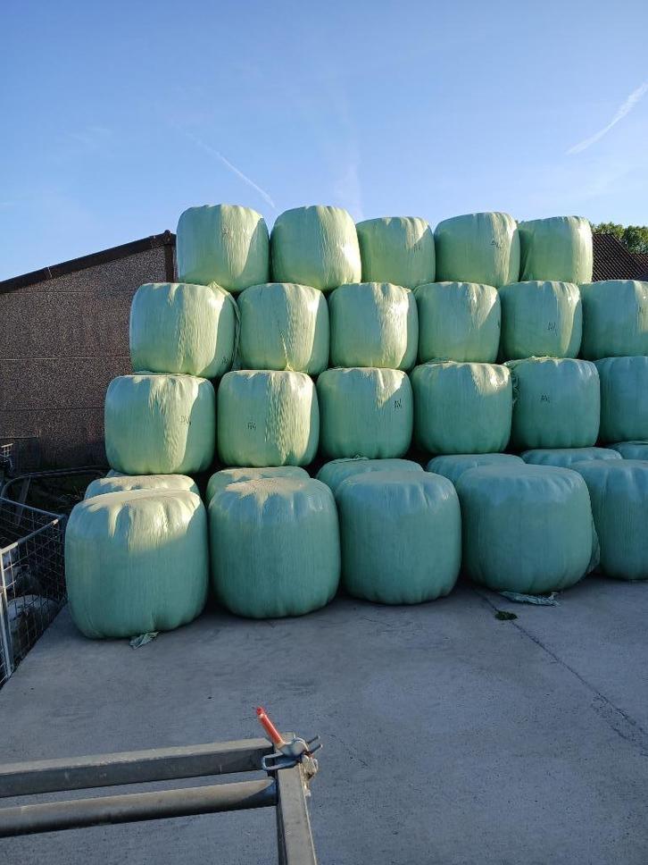 Te koop midibalen voordroog hooi 2025 en tarwestro 2025, Zakelijke goederen, Landbouw | Veevoer, Ophalen of Verzenden