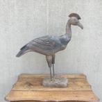 Houten vogel, Ophalen