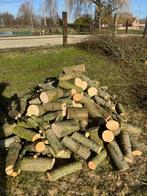 Brandhout te koop, Tuin en Terras, Brandhout, Blokken, Ophalen, 6 m³ of meer, Overige houtsoorten