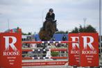 Competitieve merrie, Animaux & Accessoires, Chevaux, Z, 11 ans ou plus, 160 à 165 cm, Vermifugé