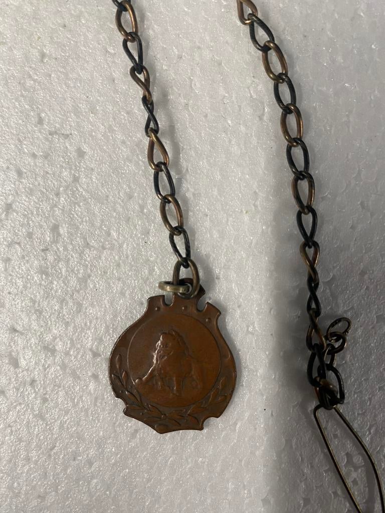 Herdenking krijgsgevangenen WO I, Verzamelen, Ophalen of Verzenden