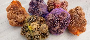 6 zakjes met telkens 15-tal denappels, herfst- of kerstdeco  beschikbaar voor biedingen