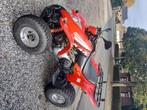 Quad 250cc automaat (rijbewijsB), 2 cilinders, 250 cc, 12 t/m 35 kW