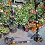 E-step, Fietsen en Brommers, Steps, Ophalen, Zo goed als nieuw, Elektrische step (E-scooter), Segway ninebot