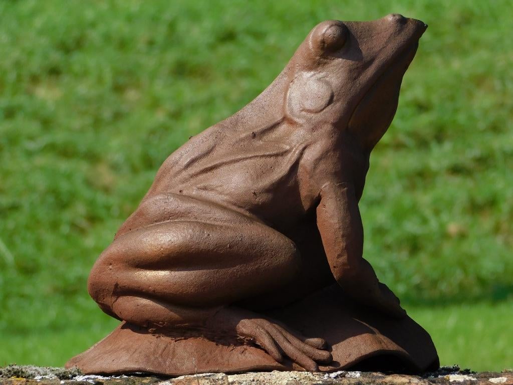 Image : Grenouille - Oxyde - Fonte, Jardin & Terrasse, Statues de jardin, Animal, Métal, Enlèvement ou Envoi