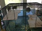 Stijlvolle kooi + alle toebehoren hamster, Kooi, Gebruikt, Minder dan 75 cm, Hamster