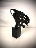 Bernadette Leijdekkers Visie op de toekomst Brons beeld, Antiek en Kunst, Kunst | Beelden en Houtsnijwerken, Ophalen of Verzenden