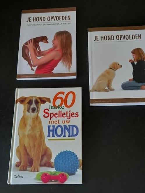 boek je hond opvoeden, Livres, Animaux & Animaux domestiques, Comme neuf, Enlèvement ou Envoi