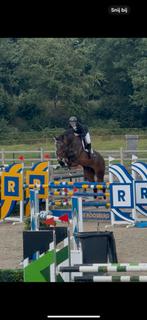 Zadelmak maken, Dieren en Toebehoren, Paarden, Zadelmak