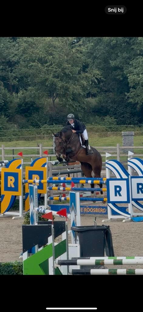 Zadelmak maken, Dieren en Toebehoren, Paarden, Zadelmak