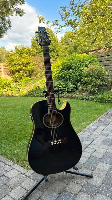Akoestische gitaar Vantage beschikbaar voor biedingen
