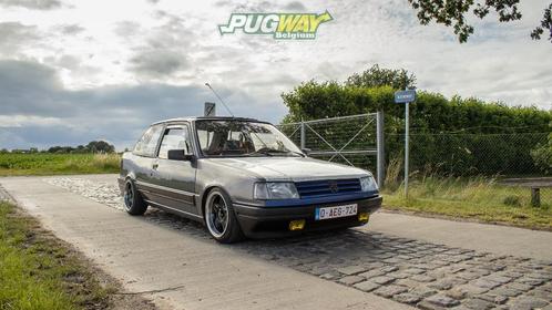 Peugeot 309 XR + reserve onderdelen, Auto's, Peugeot, Particulier, Benzine, Berline, 3 deurs, Handgeschakeld, Groen, Grijs, Stof