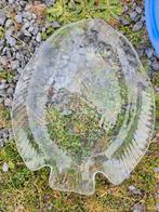 Assiettes plateaux a poissons