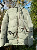 Warme, lichtgroene winterjas XXL, MNG, Enlèvement, Comme neuf