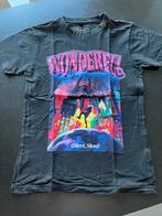 Mister Tee zwarte Tshirt maat M. Zeer goede staat., Maat 48/50 (M), Zwart, Ophalen of Verzenden, Mister Tee