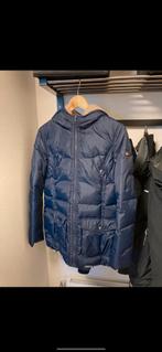 Hilfiger denim winterjas maat s donsjas, Ophalen of Verzenden, Zo goed als nieuw, Maat 36 (S)