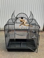 vogelkooi, Dieren en Toebehoren, Ophalen, Zo goed als nieuw, Vogelkooi