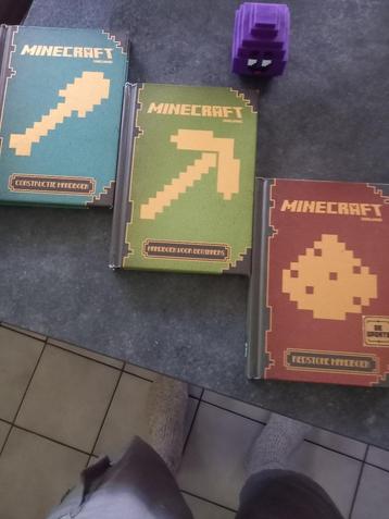 3 boeken van minecraft Mojang, Enlèvement