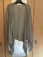 Gilet gris Hollister taille XS/S, Vêtements | Femmes, Comme neuf, Taille 36 (S), Hollister, Enlèvement ou Envoi