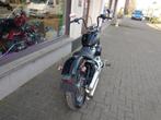 Harley FXST Softail standard - 2021 - 6506 km, Motos, 1746 cm³, 2 cylindres, Plus de 35 kW, Chopper