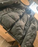 face nord, Enlèvement ou Envoi, Comme neuf, Taille 48/50 (M)