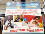 Vinyl Muddy Waters etc, Cd's en Dvd's, Vinyl | Jazz en Blues, Gebruikt, Ophalen of Verzenden