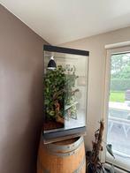 Terrarium 50x50x100, Dieren en Toebehoren, Ophalen, Gebruikt, Terrarium of Paludarium