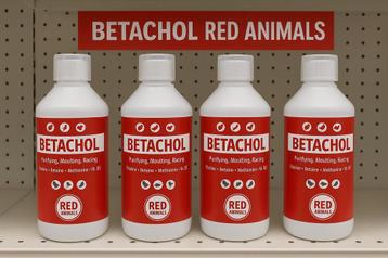 Betachol (rode kleur met B-vitamines, lever, verenkleed) 500 beschikbaar voor biedingen