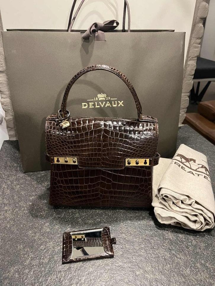 Delvaux Tempête PM, Handtassen en Accessoires, Tassen | Damestassen, Gebruikt, Handtas, Bruin, Ophalen of Verzenden