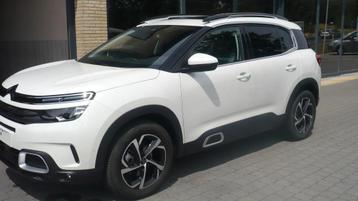 Citroën C5 Aircross (bj 2019) beschikbaar voor biedingen