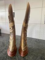 Antiques cornes buffle d’eau sculptées, Enlèvement