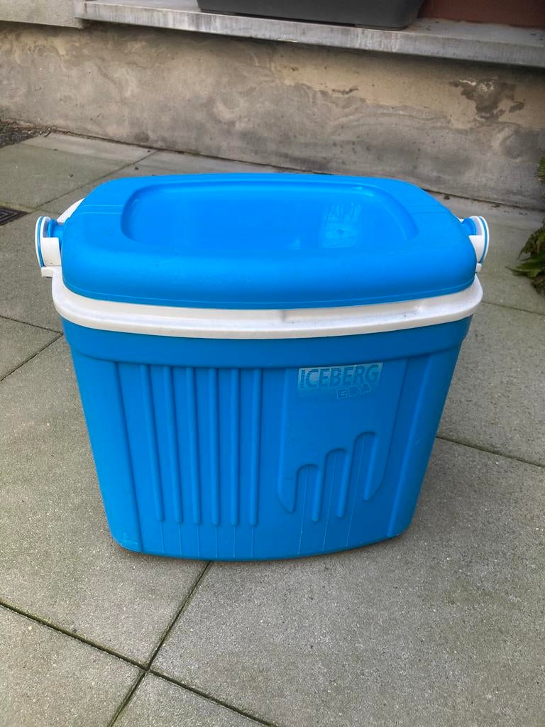 Koelbox + koelelementen – ideaal voor camping of daguitstap, Caravanes & Camping, Glacières, Enlèvement, Utilisé, Glacières, Élément de refroidissement