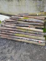 weidepalen, Meerdere dieren