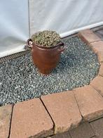 Bruine smoutpot, Enlèvement, Comme neuf