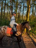 Mooie appaloosa merrie 3j, Animaux & Accessoires, Chevaux, Vermifugé, Débourré, Moins de 160 cm, Cheval de récréation