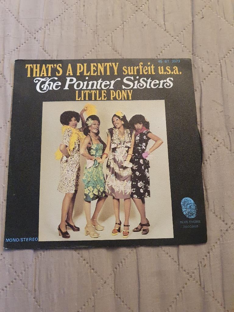 The Pointer Sisters – That's A Plenty - Surfeit U.S.A - 1974, CD & DVD, Vinyles Singles, Enlèvement ou Envoi, Single, Comme neuf