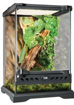 Terrarium Expo, Enlèvement