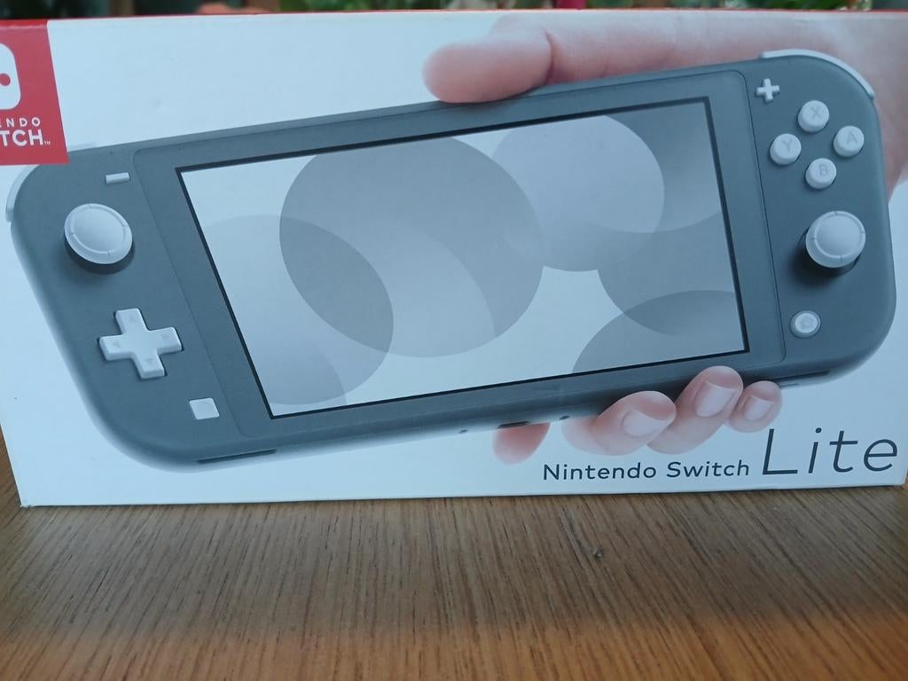 Nintendo Lite gris, Consoles de jeu & Jeux vidéo, Enlèvement, Gris