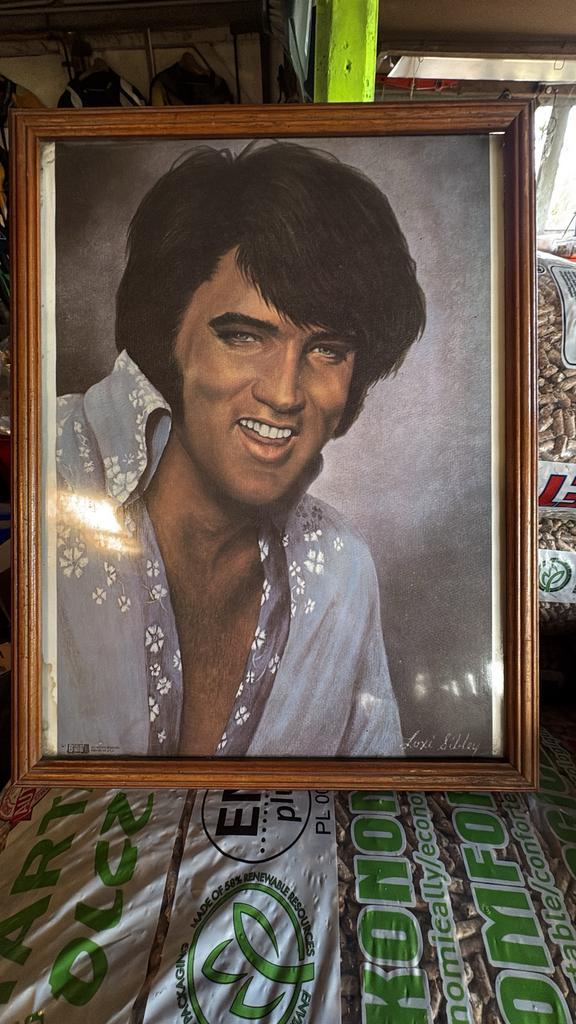 Elvis presley kunstwerk loxi sibley rare, Antiquités & Art, Art | Peinture | Moderne, Enlèvement