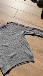 Ralph Lauren, Kleding | Heren, Verzenden, Zo goed als nieuw, Maat 48/50 (M), Grijs