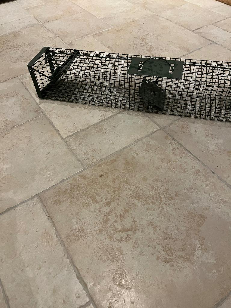 Marterval, Jardin & Terrasse, Pesticides, Enlèvement, Neuf, Lutte antiparasitaire