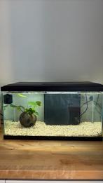Aquarium 60x30x30, Dieren en Toebehoren, Ophalen, Gebruikt, Leeg aquarium