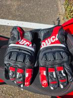 Ducati motorhandschoenen maat XXL, Motoren, Dames, Ophalen of Verzenden, Ducati, Handschoenen