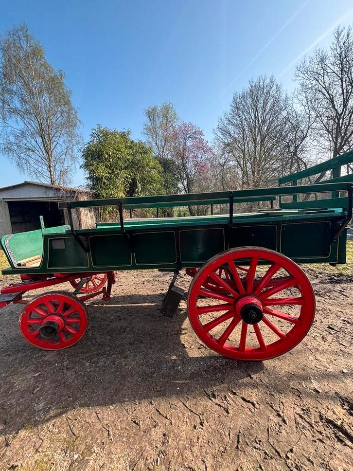 Mechelse groentenwagen, Animaux & Accessoires, Voitures & Carrosses, Comme neuf