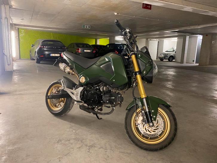 Honda MSX Vert Forest Parfait etat, Motos, Motos | Honda, Particulier, SuperMoto, jusqu'à 11 kW, 2 cylindres, Permis Moto A1 minimum