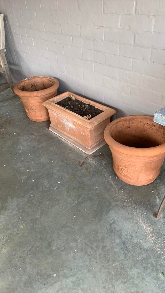 Terracotta bloempotten, Pierre, 30 à 60 cm, Enlèvement, Utilisé