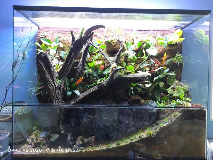 Paludarium terrarium van glas, Dieren en Toebehoren, Reptielen en Amfibieën | Toebehoren, Nieuw, Terrarium of Paludarium, Ophalen of Verzenden