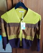Nieuwe (met prijskaartje) vest/cardigan Van Hassels maat 128, Neuf, Garçon ou Fille, Enlèvement ou Envoi, Pull ou Veste